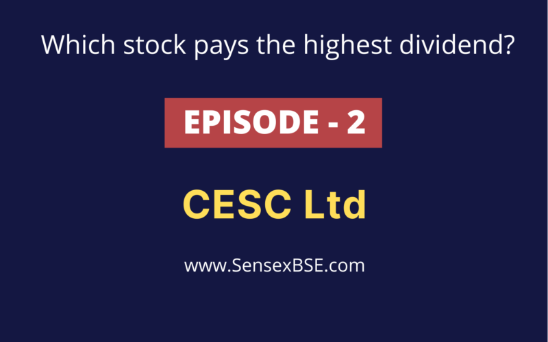 what stock pays the highest dividend 2021